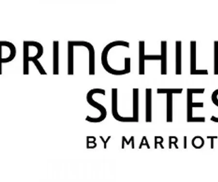 Springhill Suites By Marriott Charlotte Arrowood